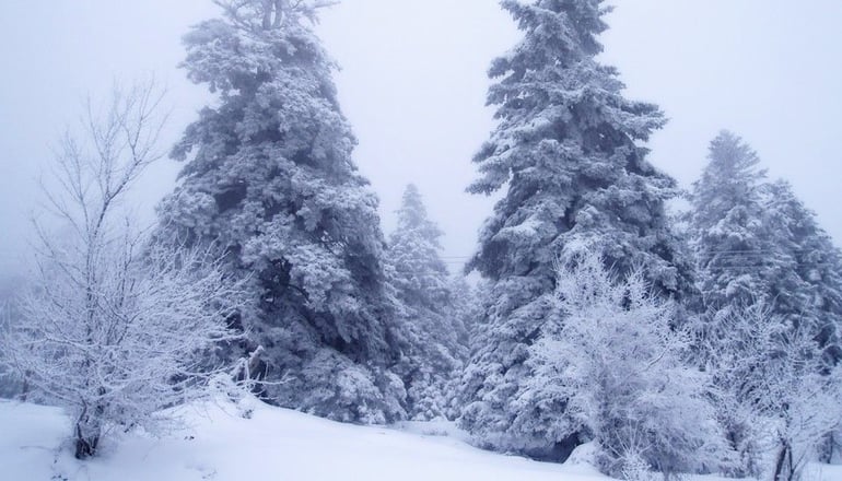 Anerada Inn Boutique Hotel