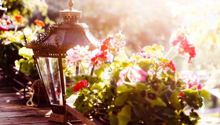 Anerada Inn Boutique Hotel