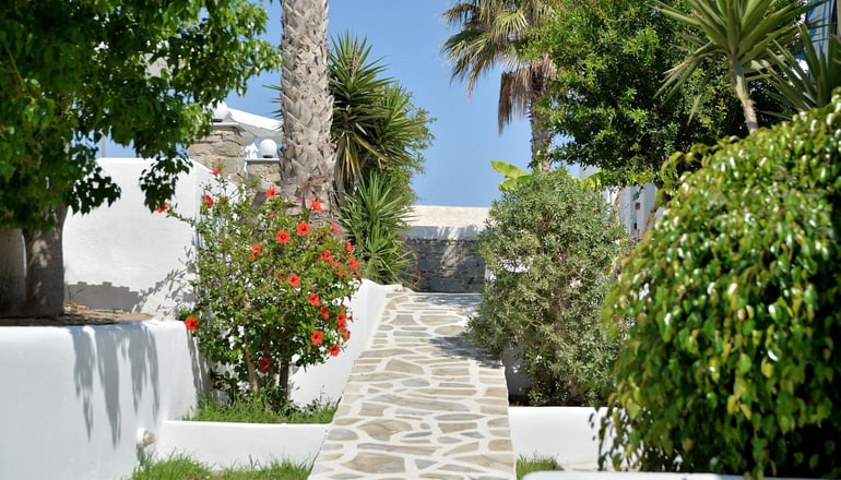 Summer Shades Paros