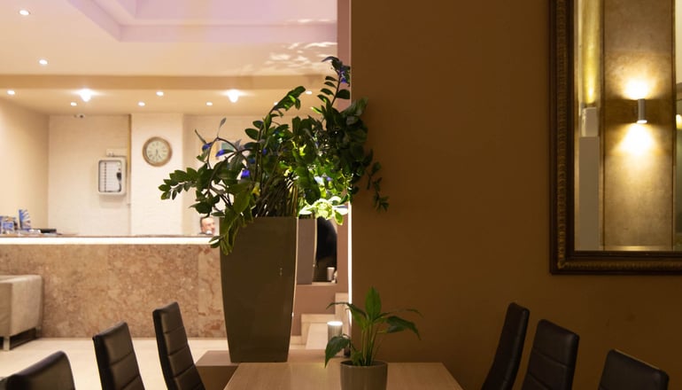 Nidimos Hotel - Δελφοί