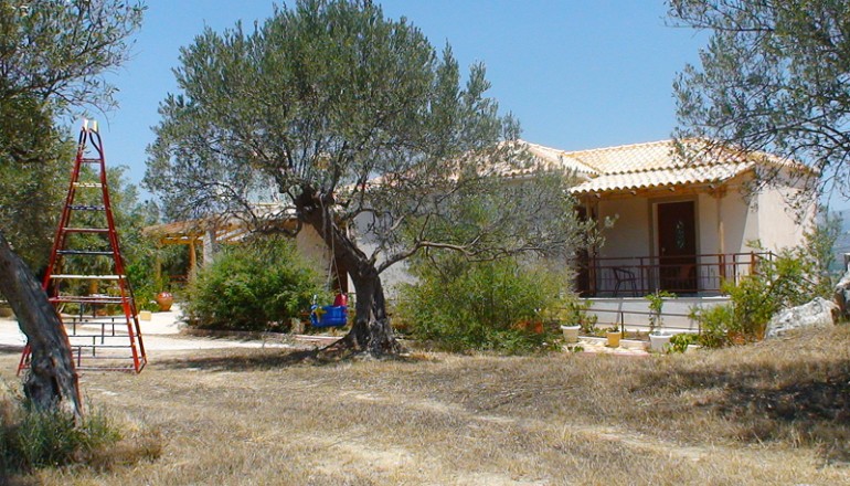 Κτήμα Δάφνες