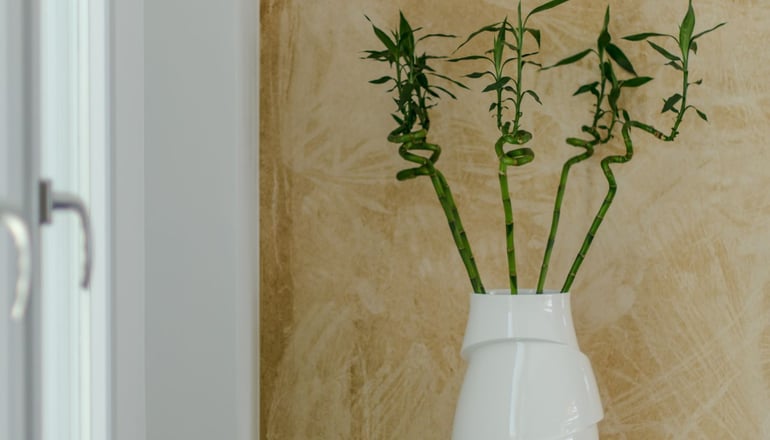 Lianos Village - Άγιος Προκόπιος, Νάξος