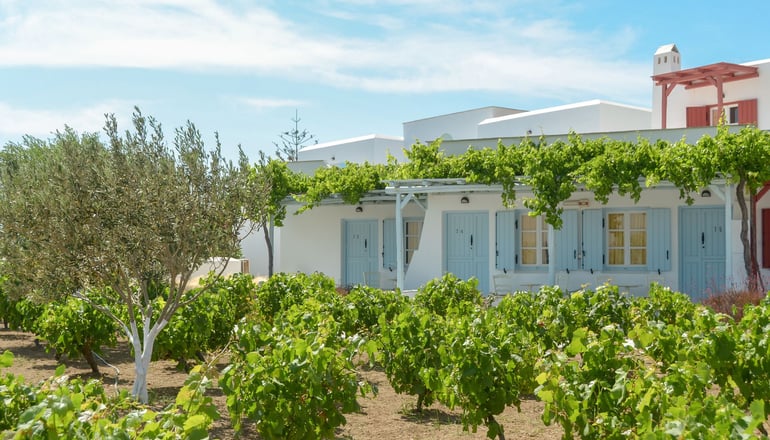 Lianos Village - Άγιος Προκόπιος, Νάξος