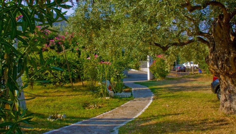 Blue Bay Beach Hotel - Κοίνυρα, Θάσος