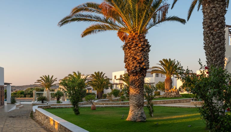 4* Irini Hotel - Αφιάρτης, Κάρπαθος