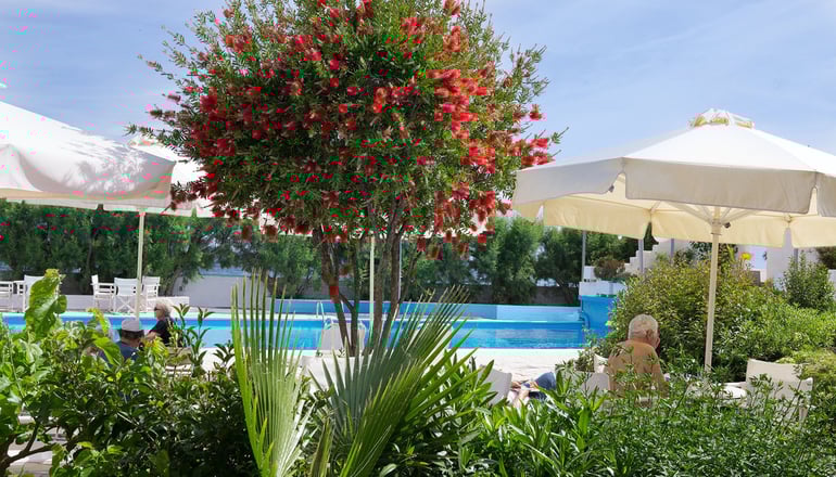 4* The Grove Seaside Hotel - Ναύπλιο