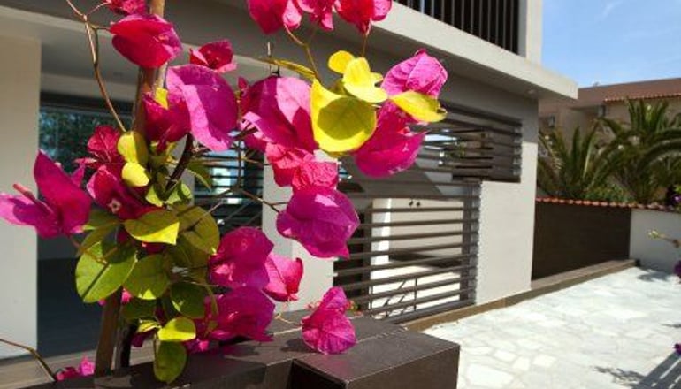 Thalassa Boutique Hotel - Σάρτη, Χαλκιδική