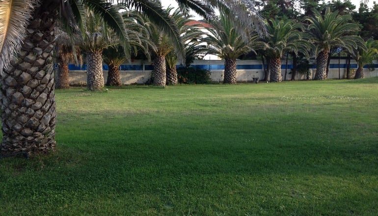 Thalassa Boutique Hotel - Σάρτη, Χαλκιδική