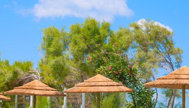 Mikri Vigla Hotel - Μικρή Βίγλα, Νάξος