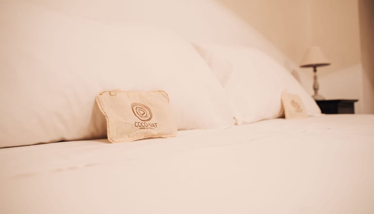 Alkifron Hotel - Καλά Νερά, Πήλιο