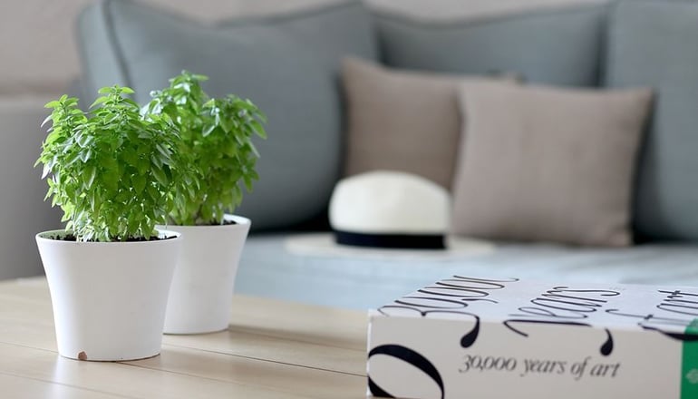 5* Skopelos Village Hotel - Χώρα, Σκόπελος