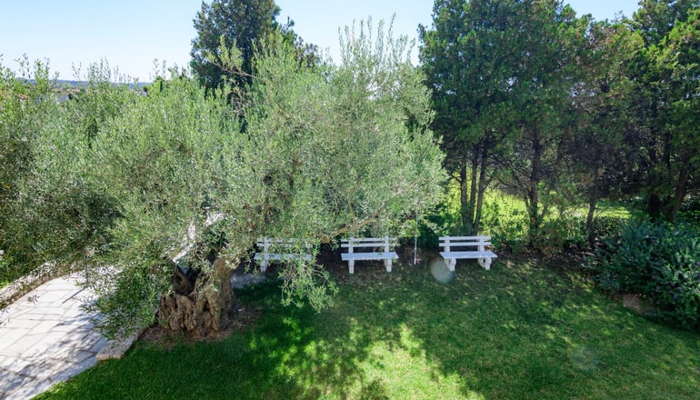 Julia Hotel - Φούρκα, Χαλκιδική