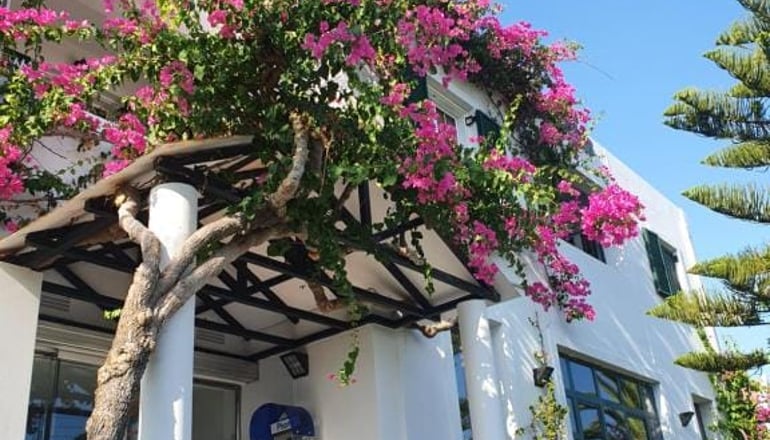 Oscar Hotel - Λαγανάς, Ζάκυνθος