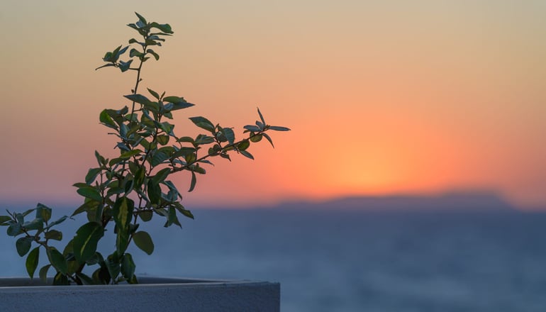 5* Castello Boutique Suites - Άγιος Νικόλαος, Κρήτη