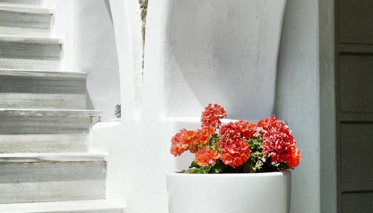 4* Paola’s Town Boutique Hotel - Δραφάκι, Μύκονος