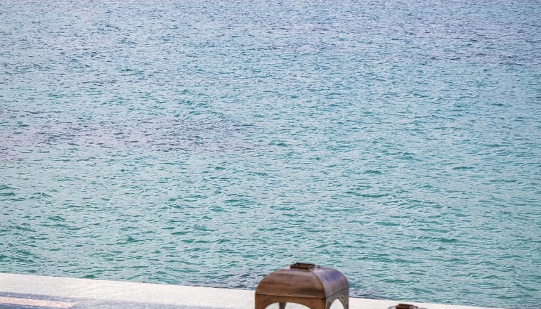 Amethyst Selene - Πάλαιρος