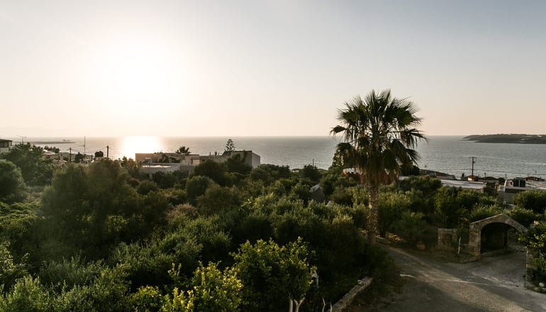 Creta Vitalis - Καλαθάς, Χανιά