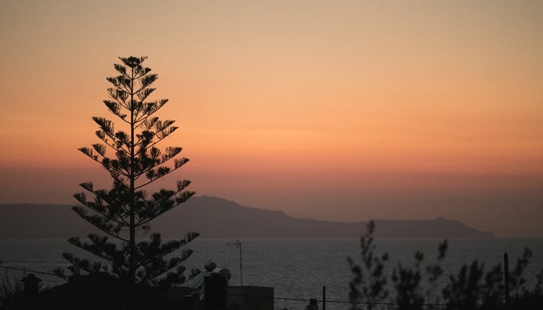 Creta Vitalis - Καλαθάς, Χανιά
