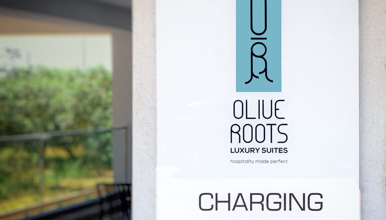 Olive Roots - Σκάλα Ραχωνίου, Θάσος