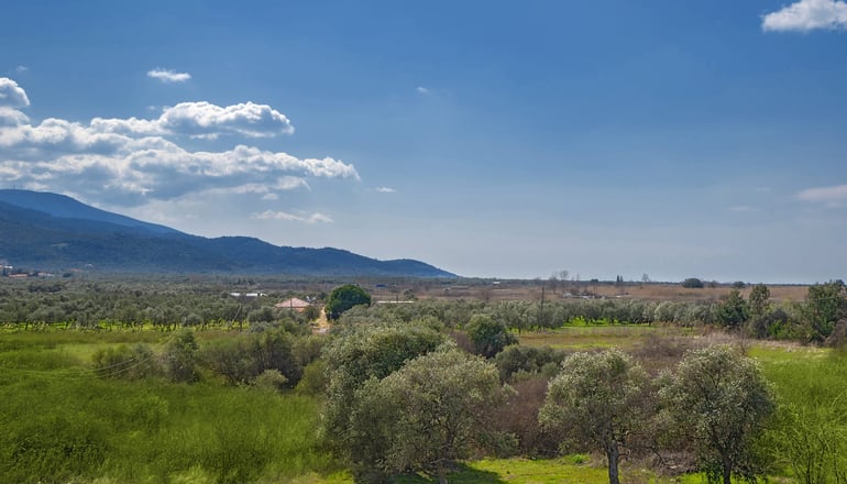 Thassian Riviera - Πρίνος, Θάσος