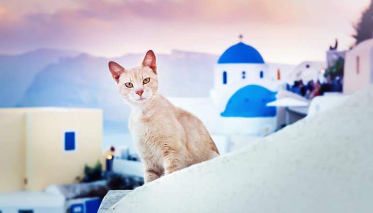 Diamond Luxury Suites Collection - Οία, Σαντορίνη