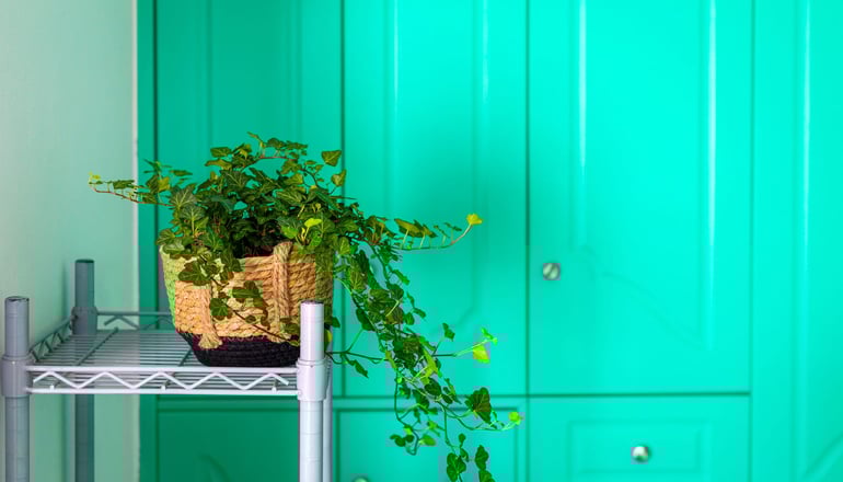 Sahara Beach Apartments - Καστράκι, Νάξος