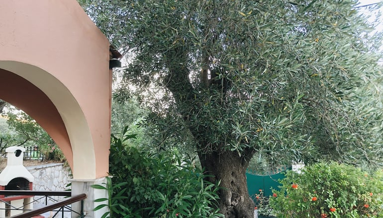 Gran Domenica Villa - Νησάκι, Κέρκυρα