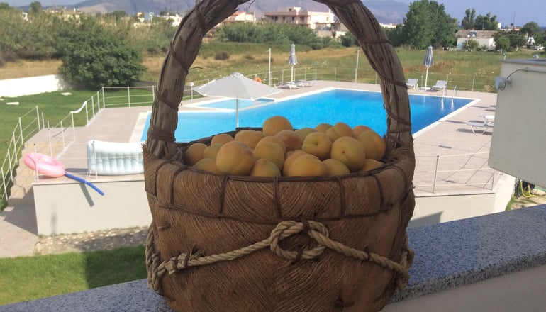 Reina Apartments - Γεωργιούπολη, Κρήτη