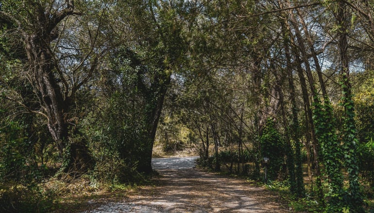 Villa Dimoulitsa - Δουκάδες, Κέρκυρα