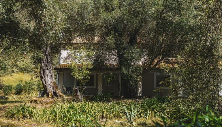 Villa Dimoulitsa - Δουκάδες, Κέρκυρα