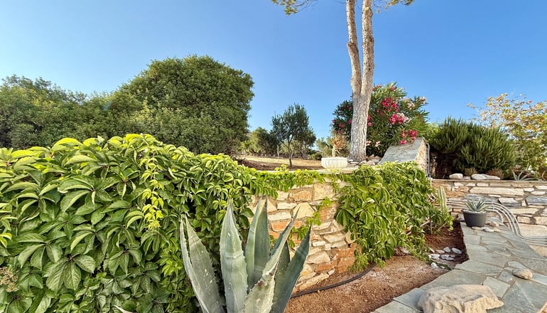 Yaleena Residences - Δρυός, Πάρος