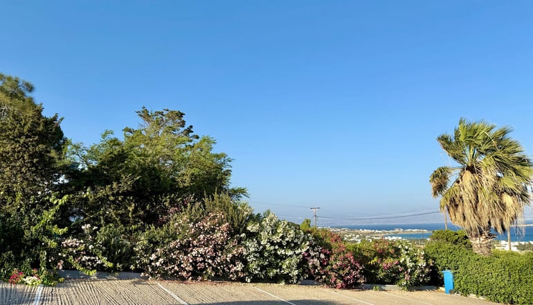 Yaleena Residences - Δρυός, Πάρος