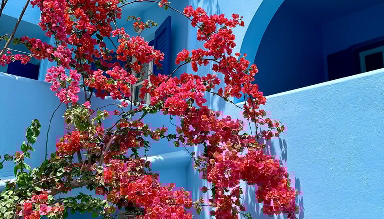 Celeste - Χώρα, Νάξος