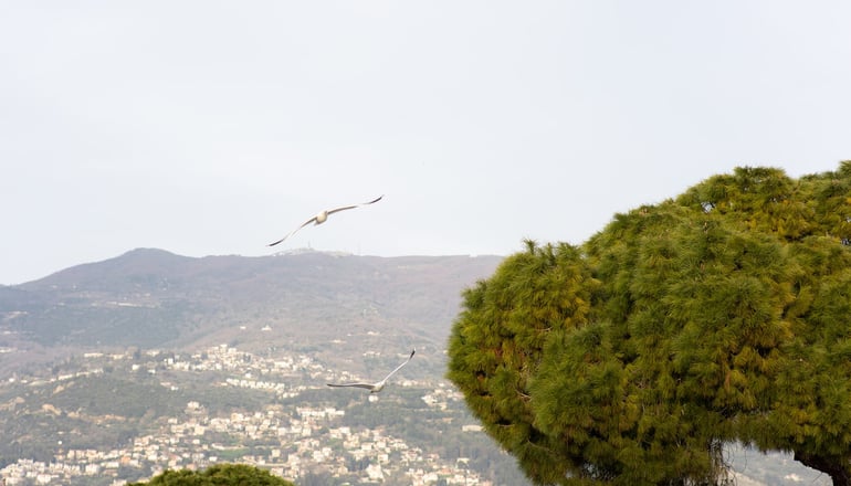 Centauro Prime Residencies - Βόλος