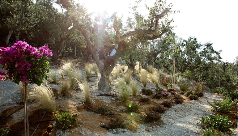 Akria Thea - Κορώνη, Μεσσηνία