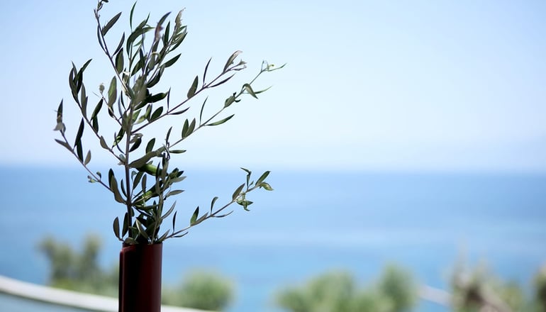 Akria Thea - Κορώνη, Μεσσηνία