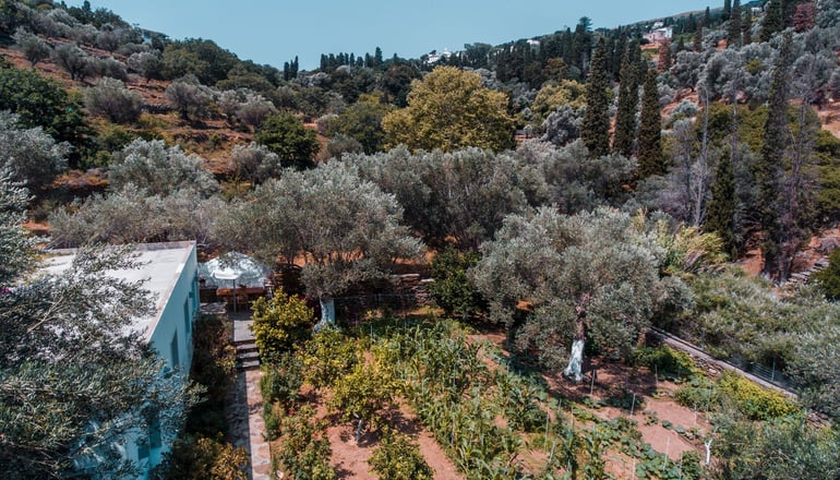 Small Paradise - Χώρα, Άνδρος