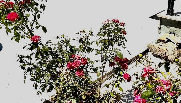 Eleana Hotel - Αργάσι, Ζάκυνθος