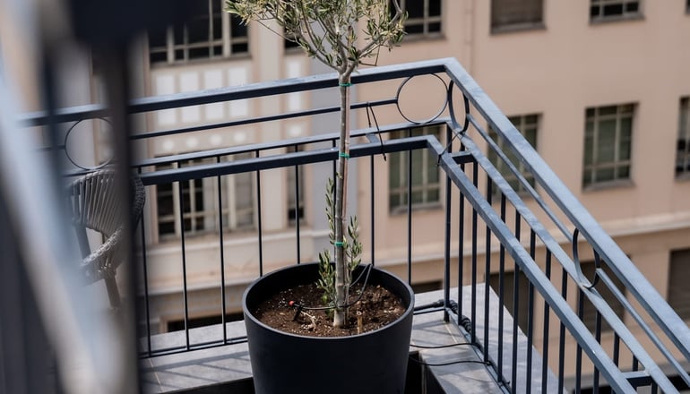 Play Theatrou a member of Brown Hotels - Αθήνα