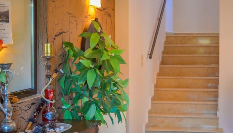 Kladis Club Holidays - Σκάλα Ποταμιάς, Θάσος