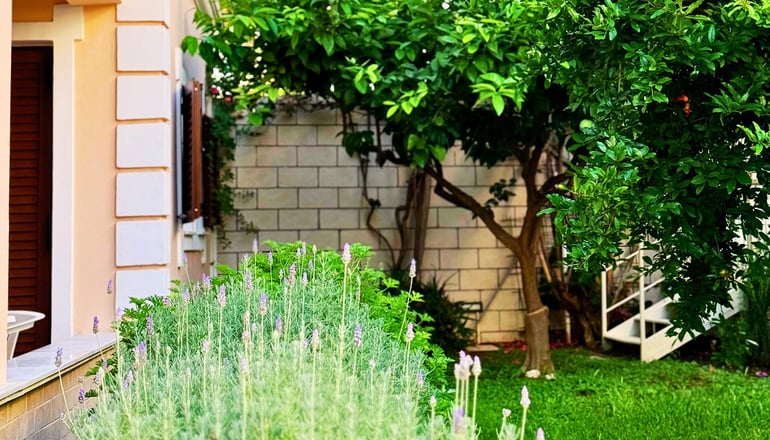 Sifakis House - Πάργα