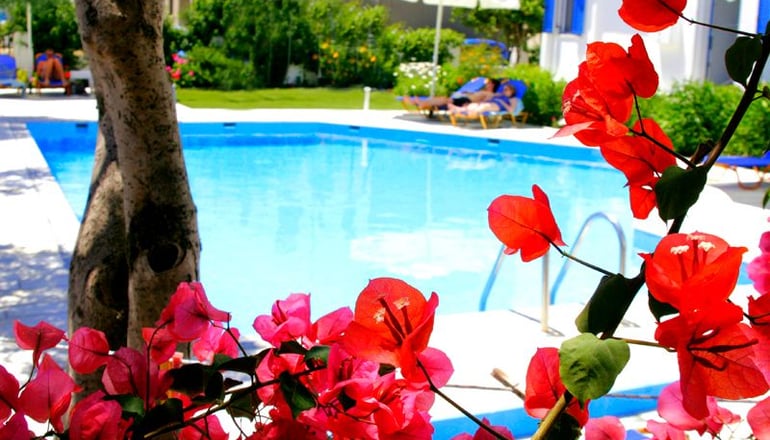 Dedalos Studios - Χώρα, Νάξος