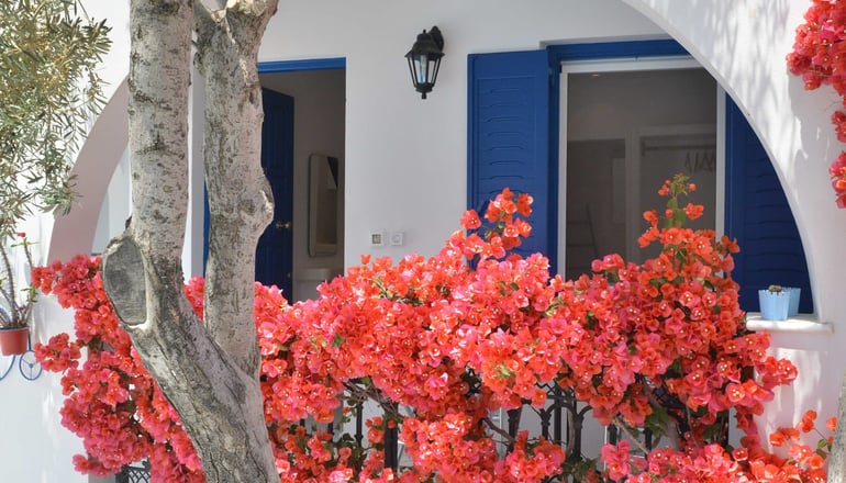 Dedalos Studios - Χώρα, Νάξος