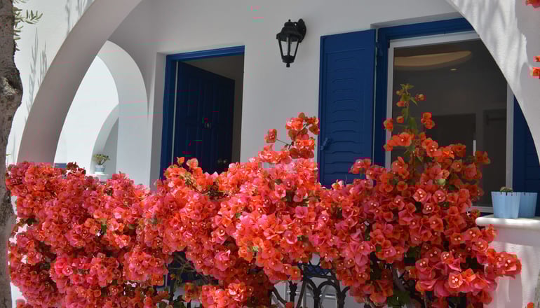 Dedalos Studios - Χώρα, Νάξος