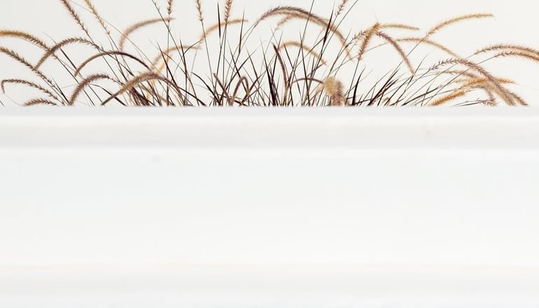 4* Zetine Suites - Αλοπρόνοια, Σίκινος