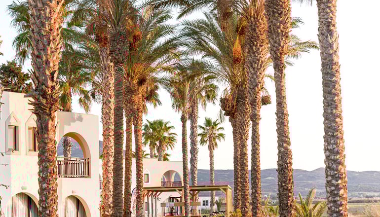 4* Grecotel Casa Paradiso - Μαρμάρι, Κως