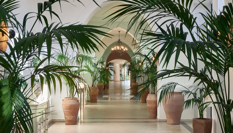 4* Grecotel Casa Paradiso - Μαρμάρι, Κως