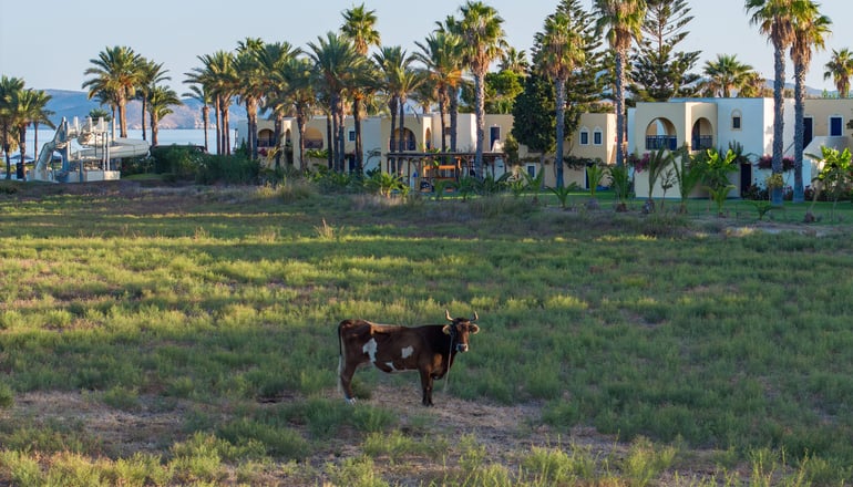 4* Grecotel Casa Paradiso - Μαρμάρι, Κως