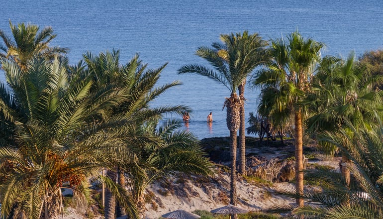 4* Grecotel Casa Paradiso - Μαρμάρι, Κως