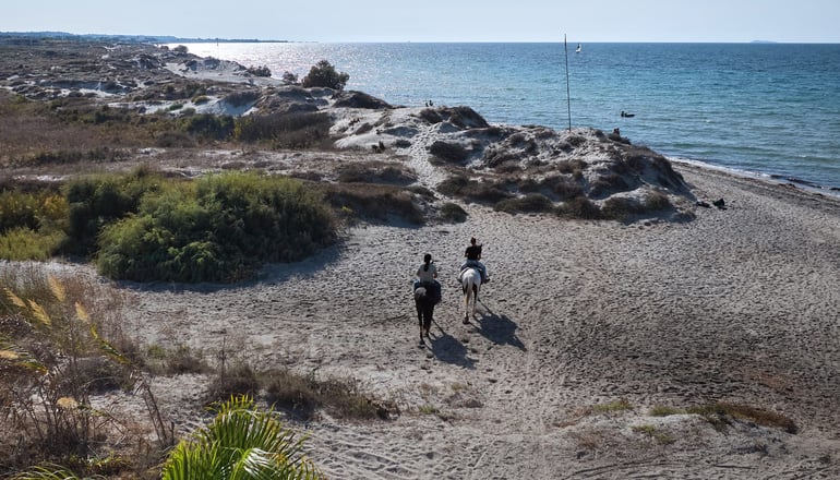 4* Grecotel Casa Paradiso - Μαρμάρι, Κως